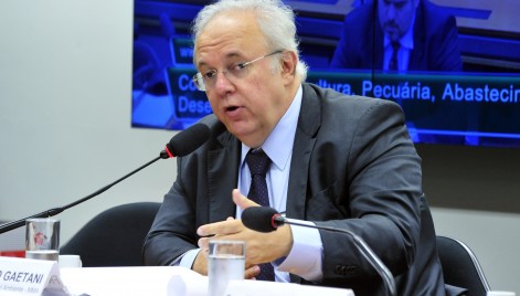 C&acirc;mara Federal