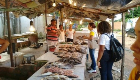 Feirantes do Mercado do Maiobão são cadastrados