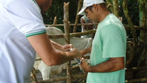 Divulga&ccedil;&atilde;o