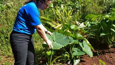 O conhecimento dos brasileiros sobre temas ambientais teve destaque entre os nove pa&iacute;ses participantes da pesquisa Bar&ocirc;metro da Biodiversidade