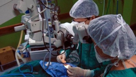 Campanha em redes sociais ajuda a aumentar cadastro de doadores de medula &oacute;ssea