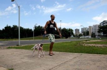 Honório Moreira