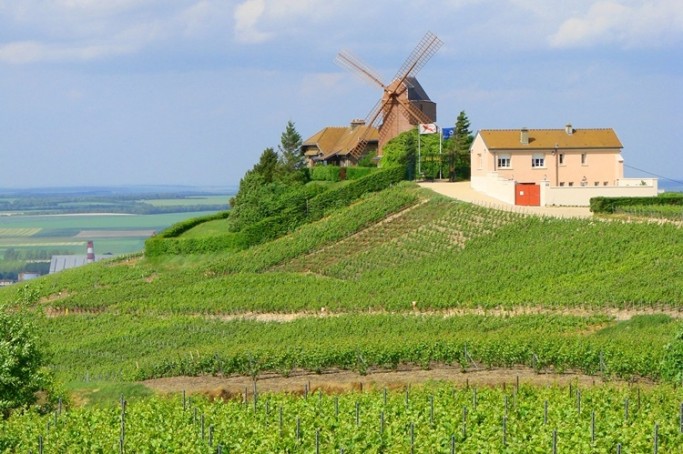                                Colinas, casas e adegas da regi&atilde;o de Champagne (Fran&ccedil;a)