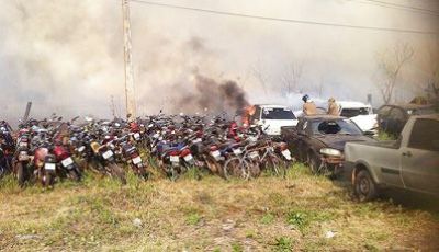 Proprietário de terreno que teve vegetação incendiada será notificado