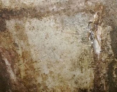 Agentes penitenciários descobrem buraco em cela na Delegacia Regional