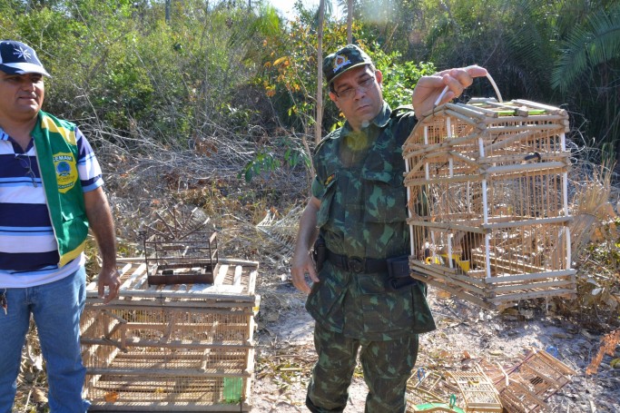 Batalh&atilde;o de Pol&iacute;cia Ambiental                                    