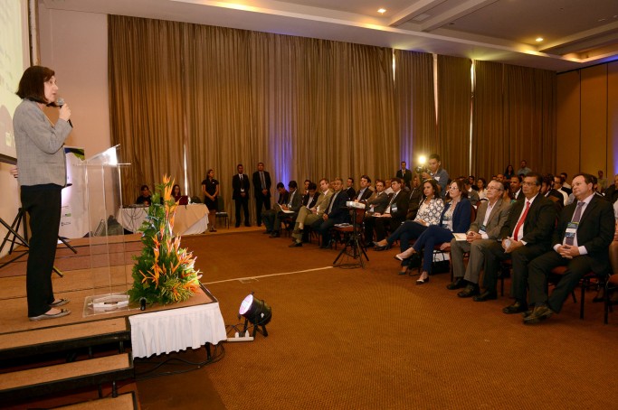 Governo apresenta expans&atilde;o do potencial de g&aacute;s natural no Maranh&atilde;o para investidores nacionais