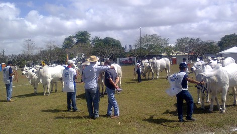 59&ordf; Exposi&ccedil;&atilde;o Agropecu&aacute;ria 
