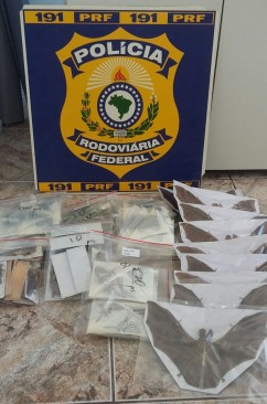 Argentino é flagrado tentando ingressar no Brasil com animais exóticos