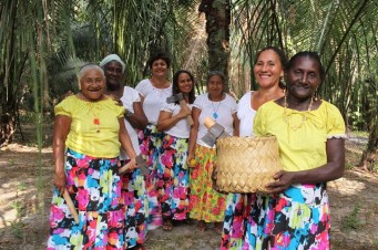 Quebradeiras de Coco