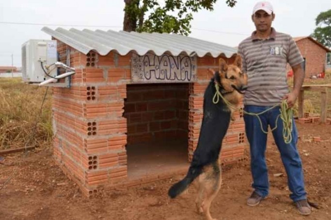(foto: Reprodução/Guaraí Notícias)