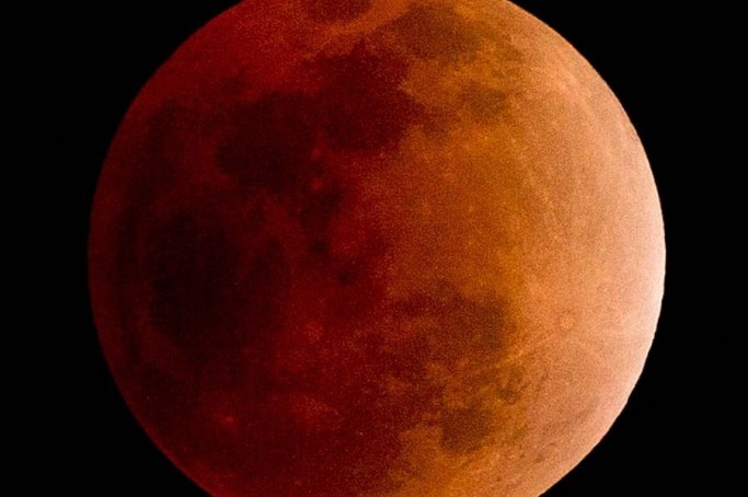 The Moon enters a total eclipse as seen in Bangkok on December 10, 2011. The total eclipse of the Moon turned the lunar surface into a shade of red. AFP PHOTO/ Nicolas ASFOURI