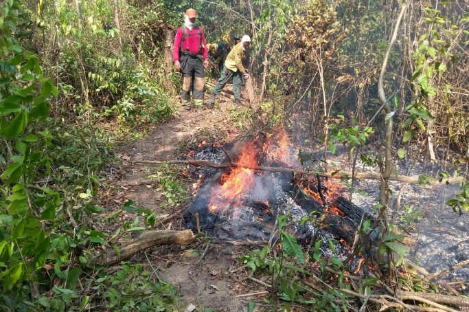 Bombeiros militares trabalham para debelar o incêndio na reserva indígena dos Arariboias