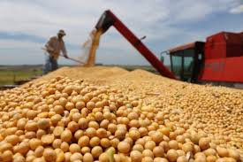 Maranhão e estados que fazem parte da região do "Matopiba" se consolidam como nova fronteira agrícola do País