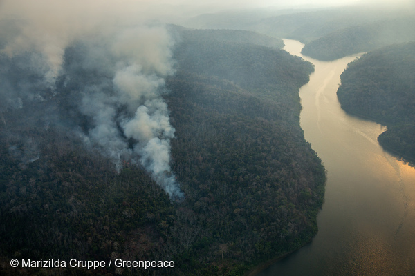 Fotografias aéreas mostram incêndio florestal na Terra Indígena (TI) Arariboia, no Maranhão. Photo: Marizilda Cruppe / Greenpeace