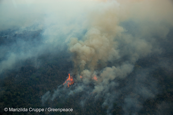 Fotografias aéreas mostram incêndio florestal na Terra Indígena (TI) Arariboia, no Maranhão. Photo: Marizilda Cruppe / Greenpeace