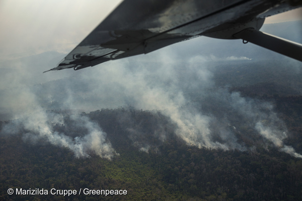 Fotografias aéreas mostram incêndio florestal na Terra Indígena (TI) Arariboia, no Maranhão. Photo: Marizilda Cruppe / Greenpeace