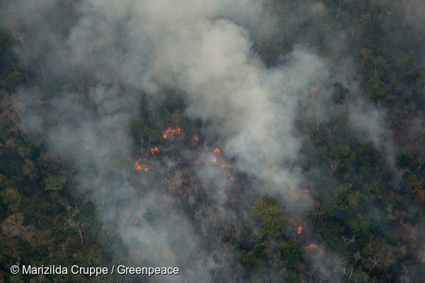 Fotografias aéreas mostram incêndio florestal na Terra Indígena (TI) Arariboia, no Maranhão. Photo: Marizilda Cruppe / Greenpeace