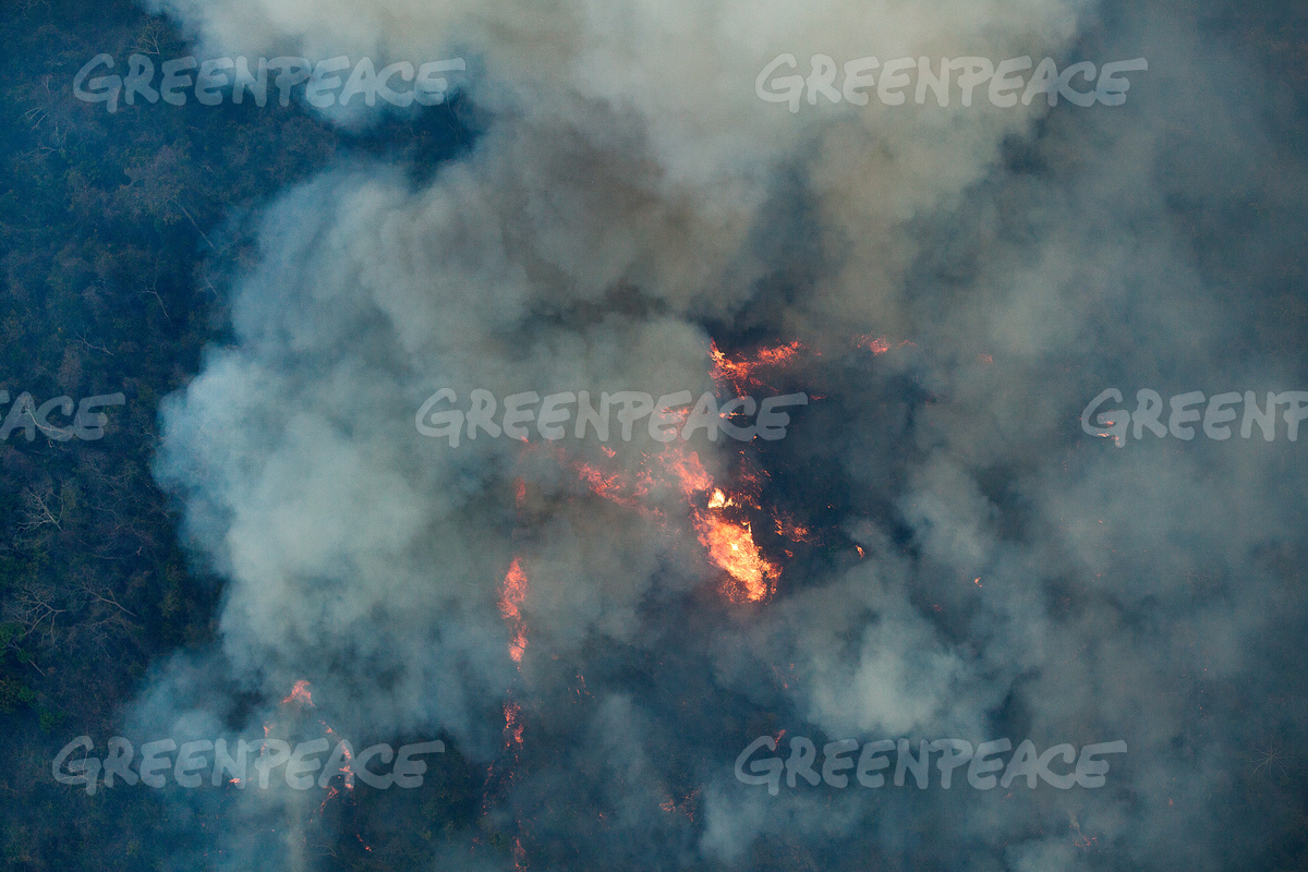 Fotografias aéreas mostram incêndio florestal na Terra Indígena (TI) Arariboia, no Maranhão. Photo: Marizilda Cruppe / Greenpeace