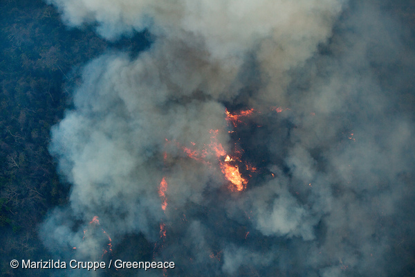 Fotografias aéreas mostram incêndio florestal na Terra Indígena (TI) Arariboia, no Maranhão. Photo: Marizilda Cruppe / Greenpeace
