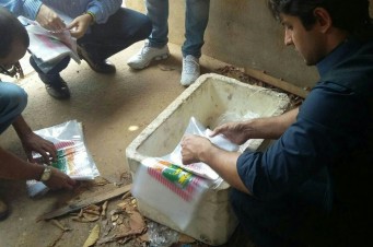 Opera&ccedil;&atilde;o apreende duas toneladas de queijo e derivados na Regi&atilde;o Tocantina