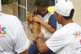 Campanha de vacinação domiciliar de cães e gatos começa amanhã