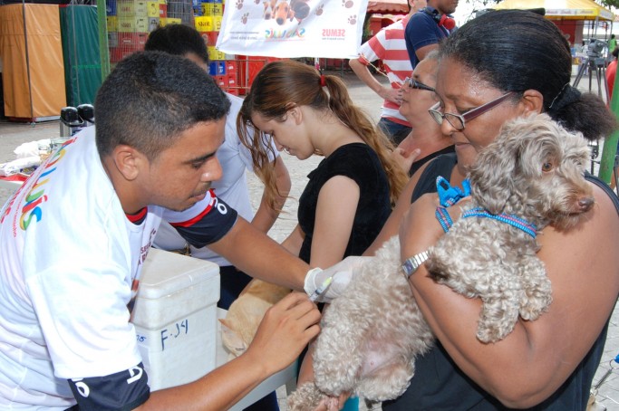 Campanha de vacinação domiciliar de cães e gatos começa amanhã