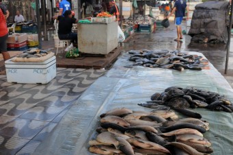 Sem higieniza&ccedil;&atilde;o, pescado &eacute; vendido na Praia Grande ao lado do Mercado do Peixe