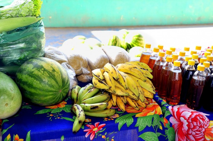 Prefeitura inicia atividades do Banco de Alimentos