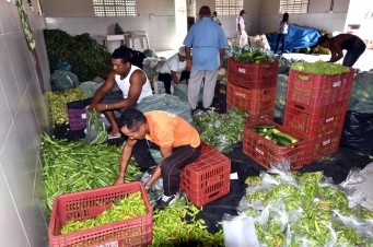 Prefeitura beneficia mais de 40 mil fam&iacute;lias com a entrega de 210 toneladas de alimentos do PAA
