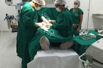 Fotos/ Francisco Campos