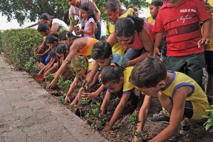 Capital recebe ações do Programa 'São Luís, Cidade Jardim'