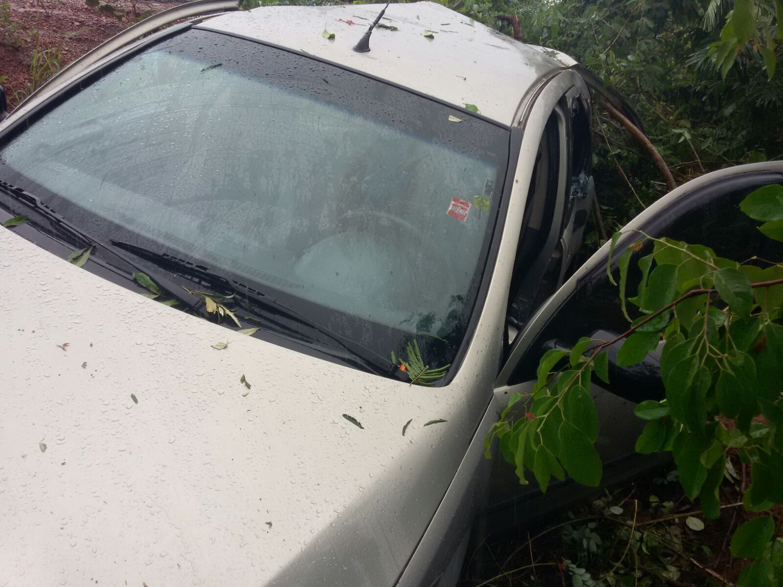 Acidente na BR 316 resulta na morte de duas crianças (Divulgação/PRF)