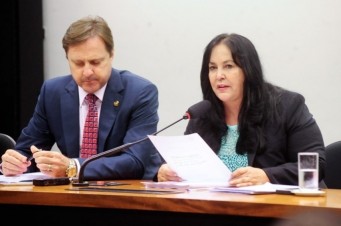 Caso o relatório do senador Acir Gurgacz seja aprovado pelo colegiado, o projeto segue para análise do Senado Federal