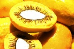 C&aacute;psulas de pequi poder&atilde;o ser ingeridas diariamente