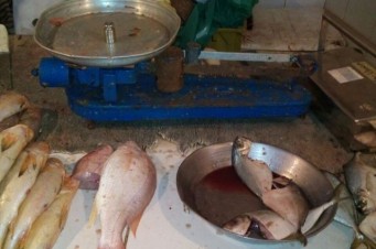 Balanças irregulares são apreendidas em feiras de São Luís