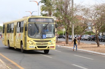 &Ocirc;nibus