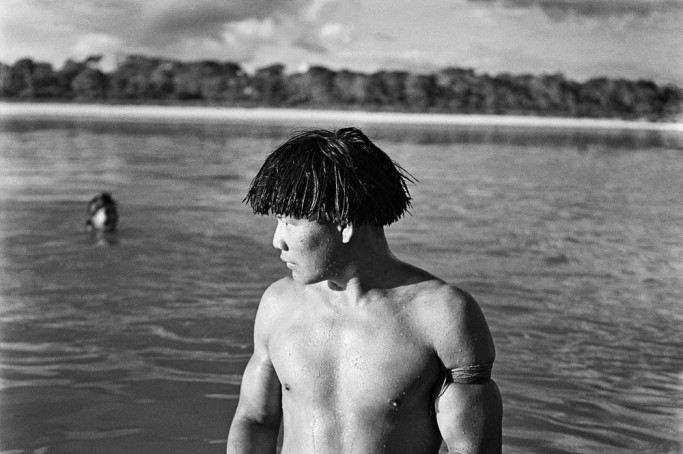 José Medeiros Fotógrafo Já Fui Floresta