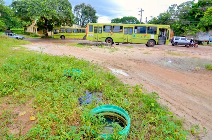 Focos de mosquito Aedes 