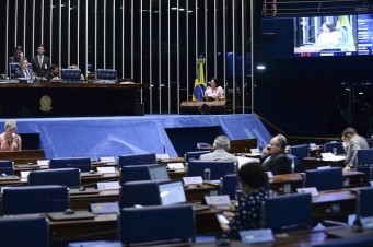 Plen&aacute;rio do Senado
