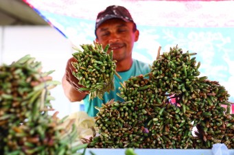 Agritec Cod&oacute;: Maranh&atilde;o recebe mais de R$ 14 milh&otilde;es para investir na agricultura familiar