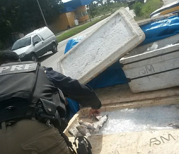 Dois homens são detidos com 243 kg de pescado ilegal