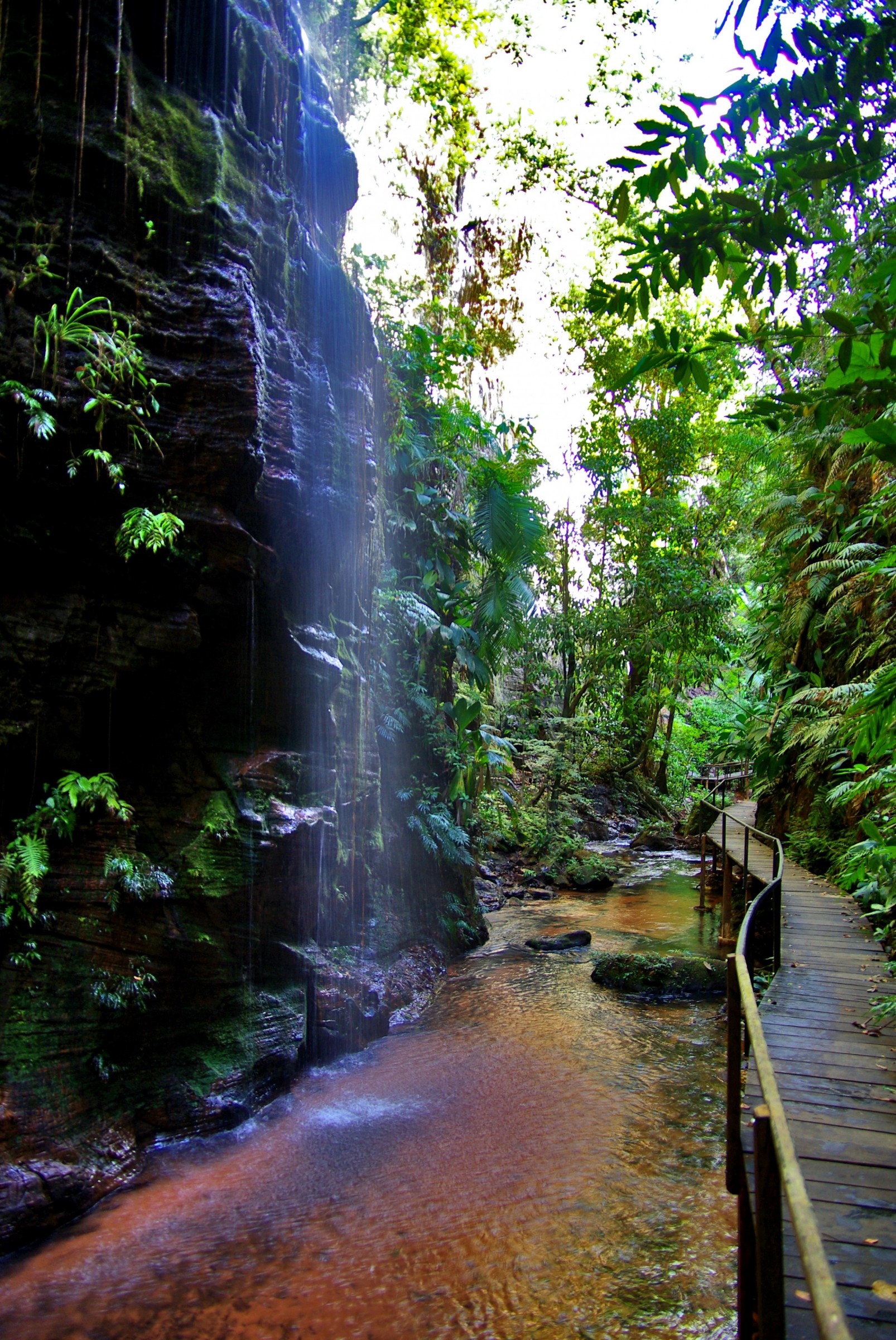 Pedra Caída - Carolina