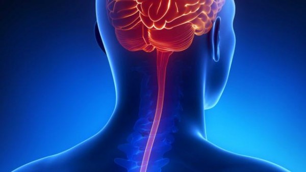 Meningite