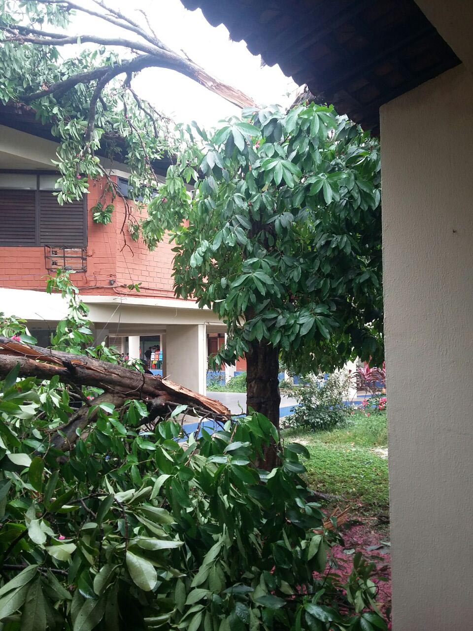 Chuva também causou estragos na Universidade Estadual do Maranhão