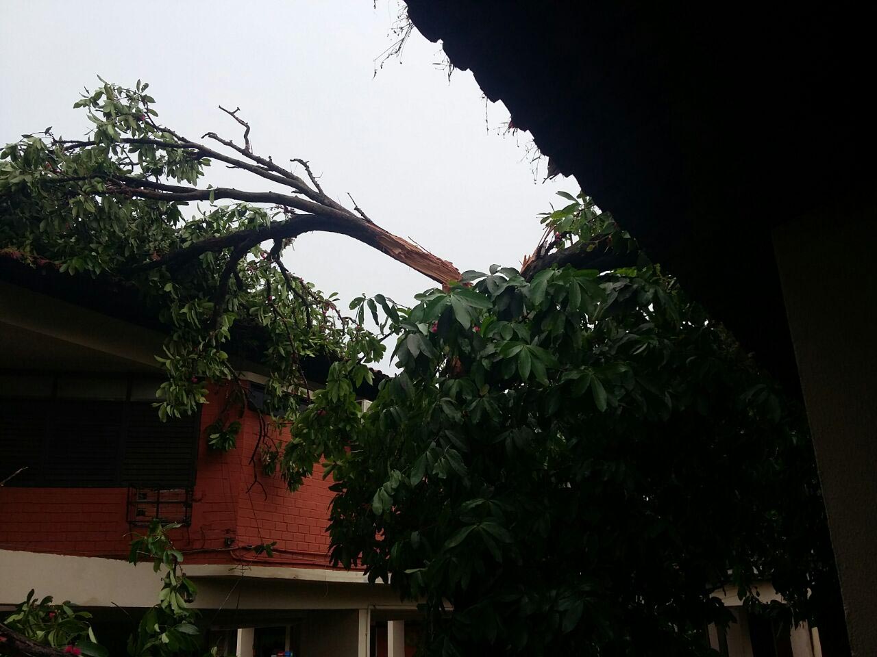 Chuva também causou estragos na Universidade Estadual do Maranhão