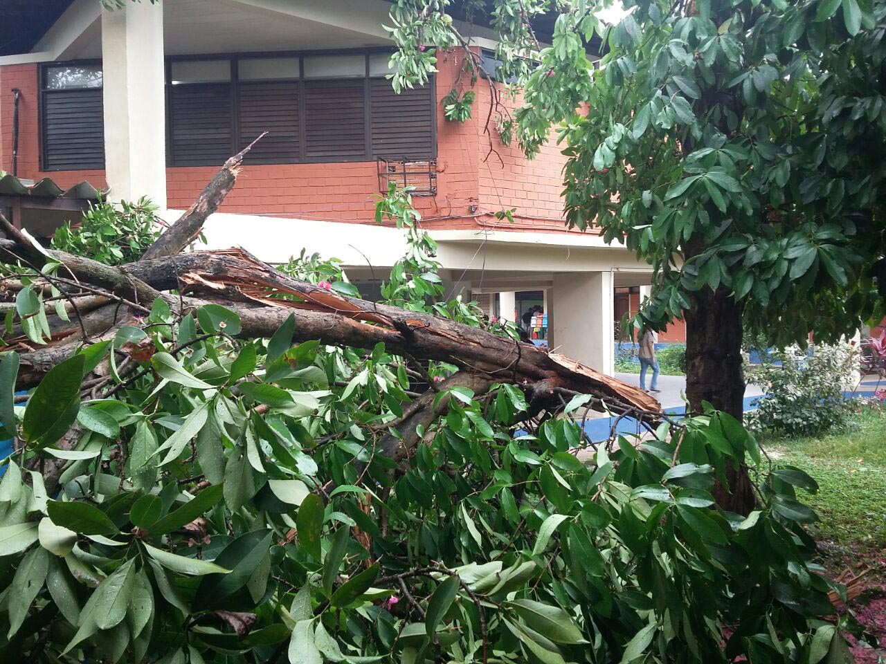 Chuva também causou estragos na Universidade Estadual do Maranhão