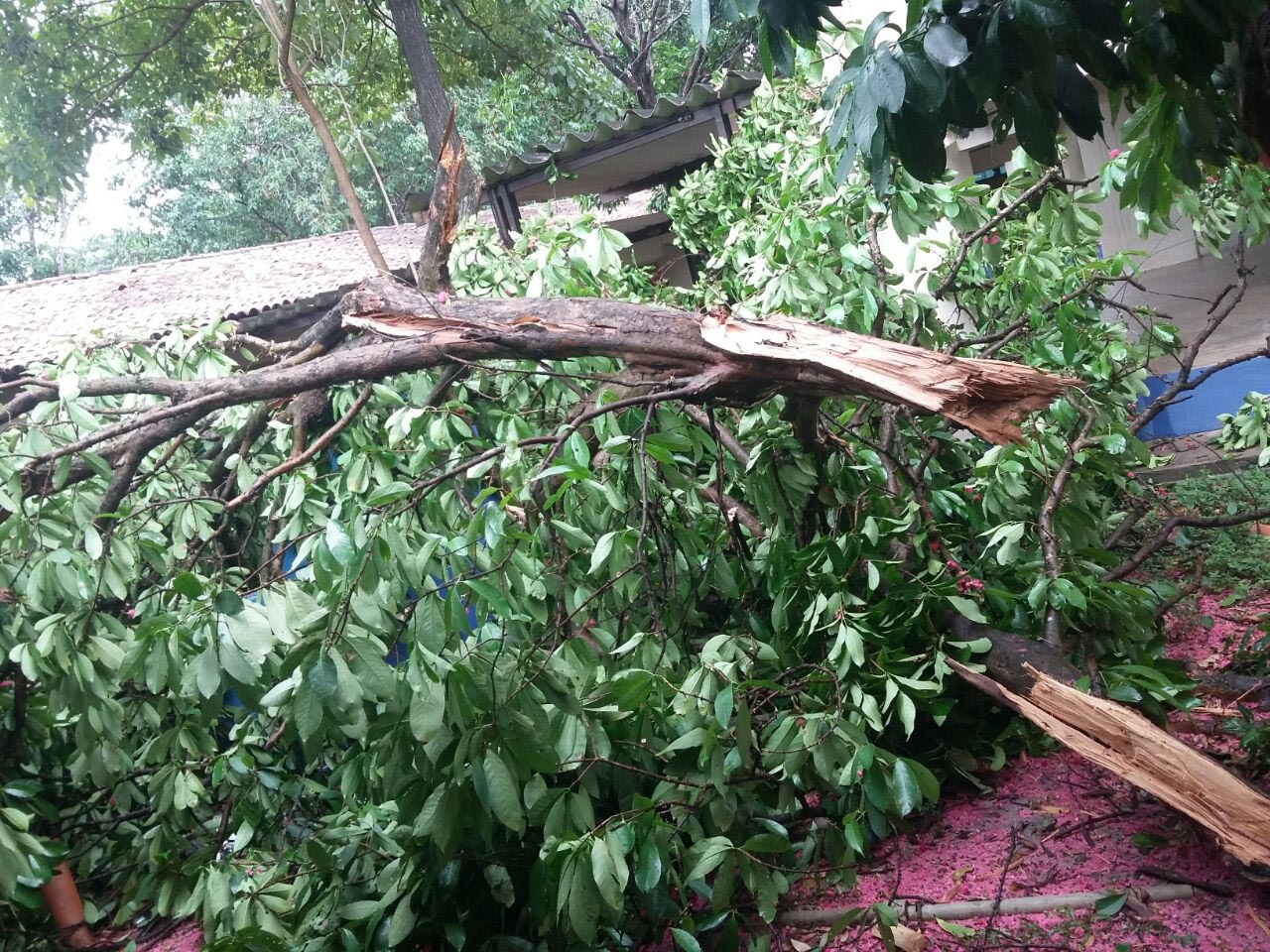 Chuva também causou estragos na Universidade Estadual do Maranhão