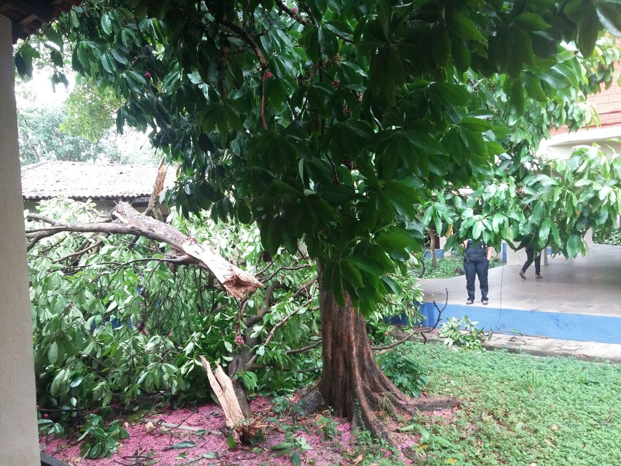 Chuva também causou estragos na Universidade Estadual do Maranhão