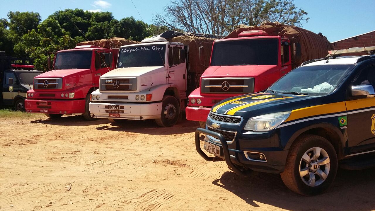PRF apreende mais três cargas com madeira ilegal na BR 230